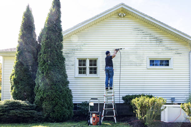 Best Gutter Cleaning  in Detroit, MI